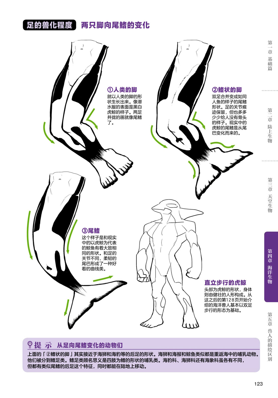 《兽人的描绘方法 -从真实系兽人到抽象系兽人》漫画最新章节第4话 海洋生物免费下拉式在线观看章节第【9】张图片