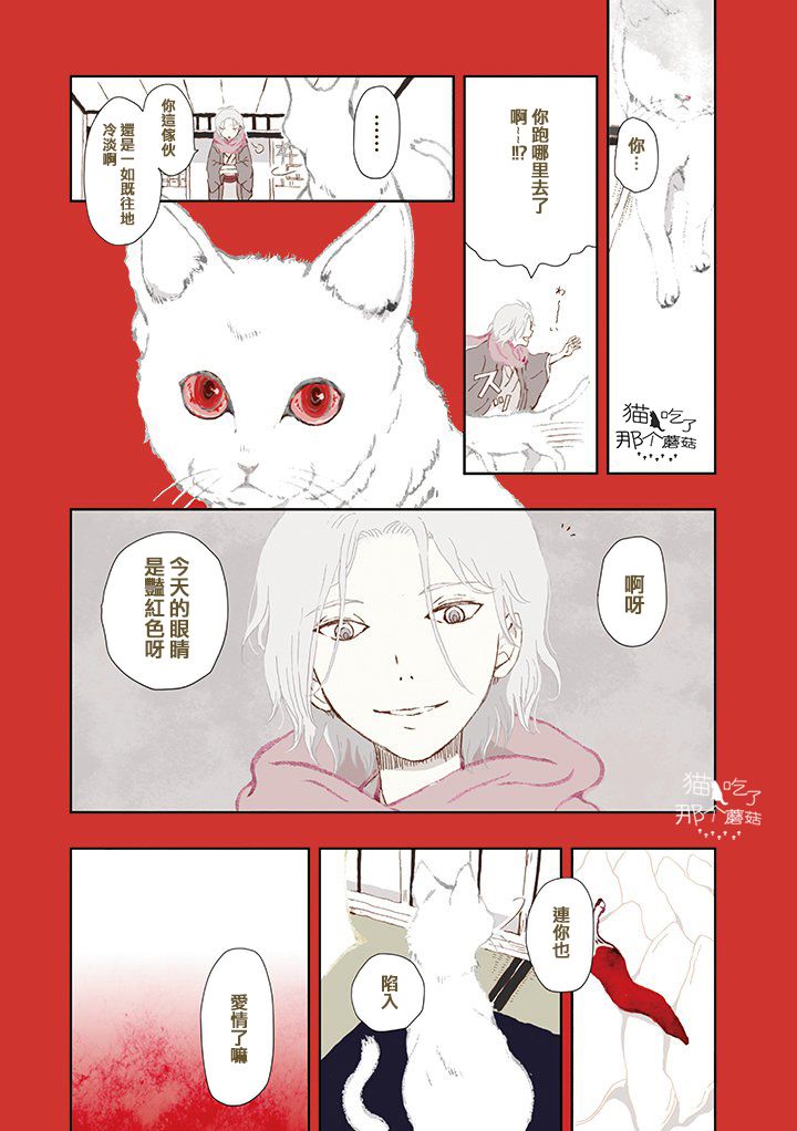 《京都猫》漫画最新章节第1话免费下拉式在线观看章节第【13】张图片