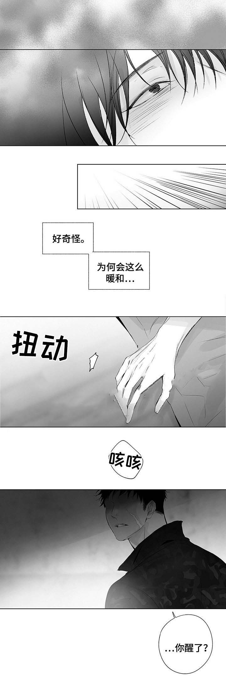 《蜜月》漫画最新章节第51话免费下拉式在线观看章节第【5】张图片