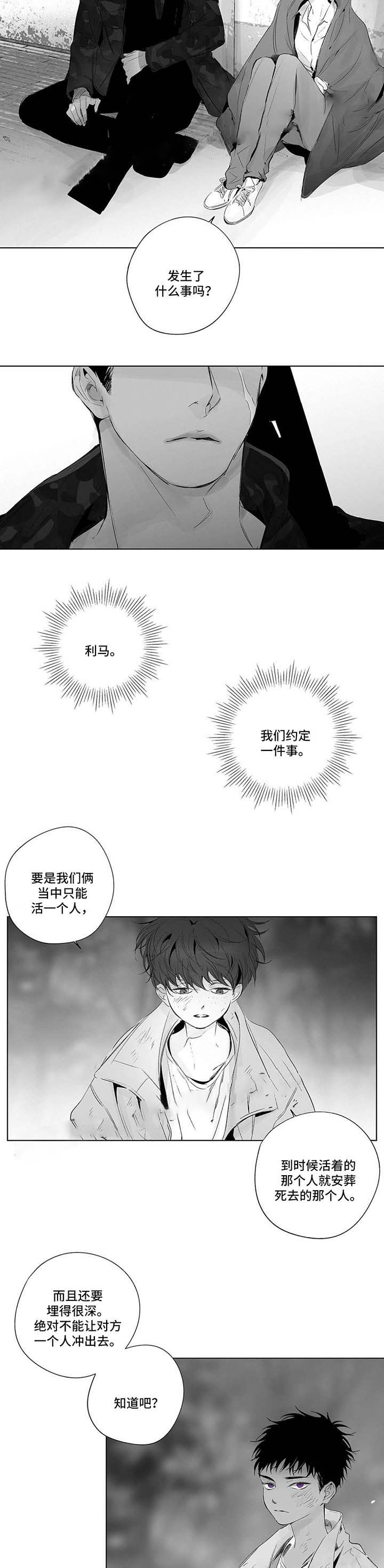 《蜜月》漫画最新章节第56话免费下拉式在线观看章节第【8】张图片