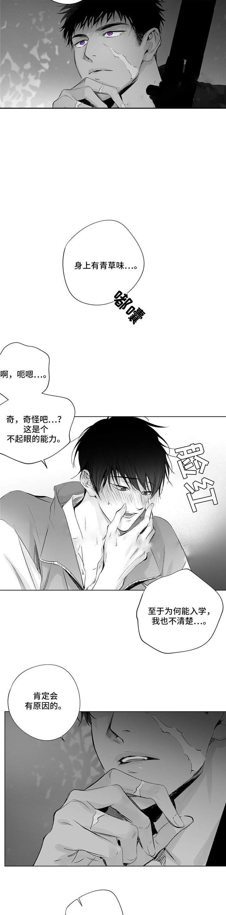 《蜜月》漫画最新章节第29话免费下拉式在线观看章节第【4】张图片