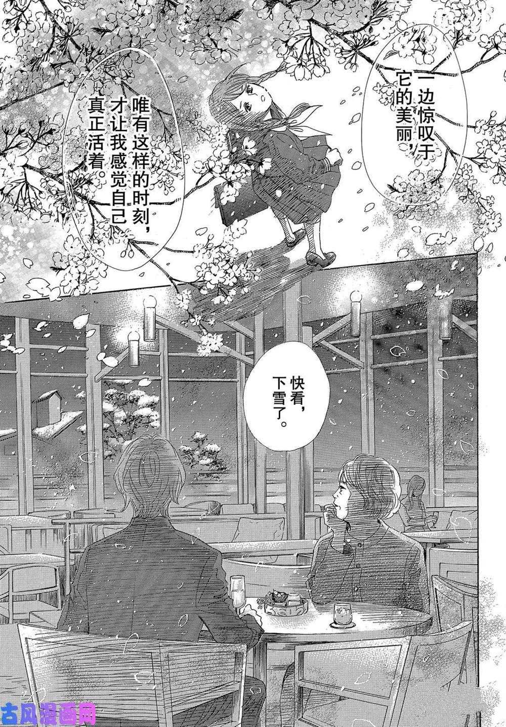 《花牌情缘》漫画最新章节第216话 试看版免费下拉式在线观看章节第【21】张图片