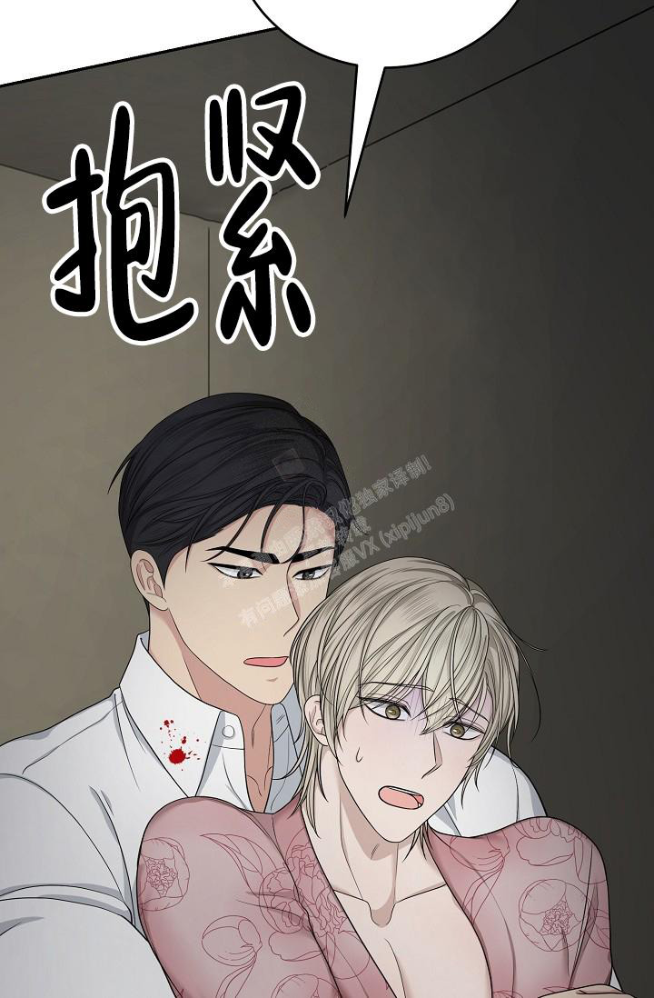 《金丝雀》漫画最新章节第11话免费下拉式在线观看章节第【8】张图片