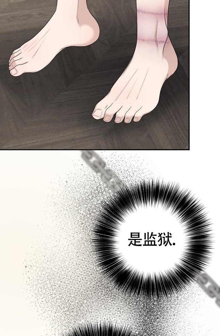 《金丝雀》漫画最新章节第10话免费下拉式在线观看章节第【25】张图片