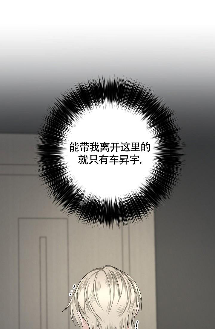 《金丝雀》漫画最新章节第13话免费下拉式在线观看章节第【3】张图片