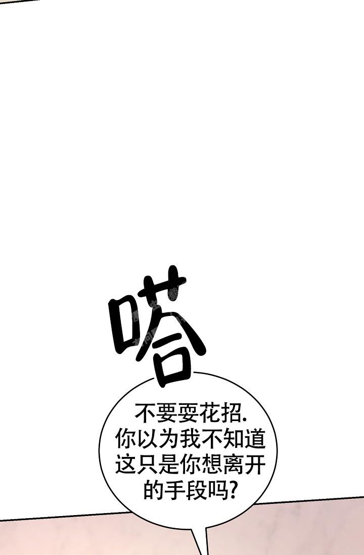 《金丝雀》漫画最新章节第16话免费下拉式在线观看章节第【4】张图片