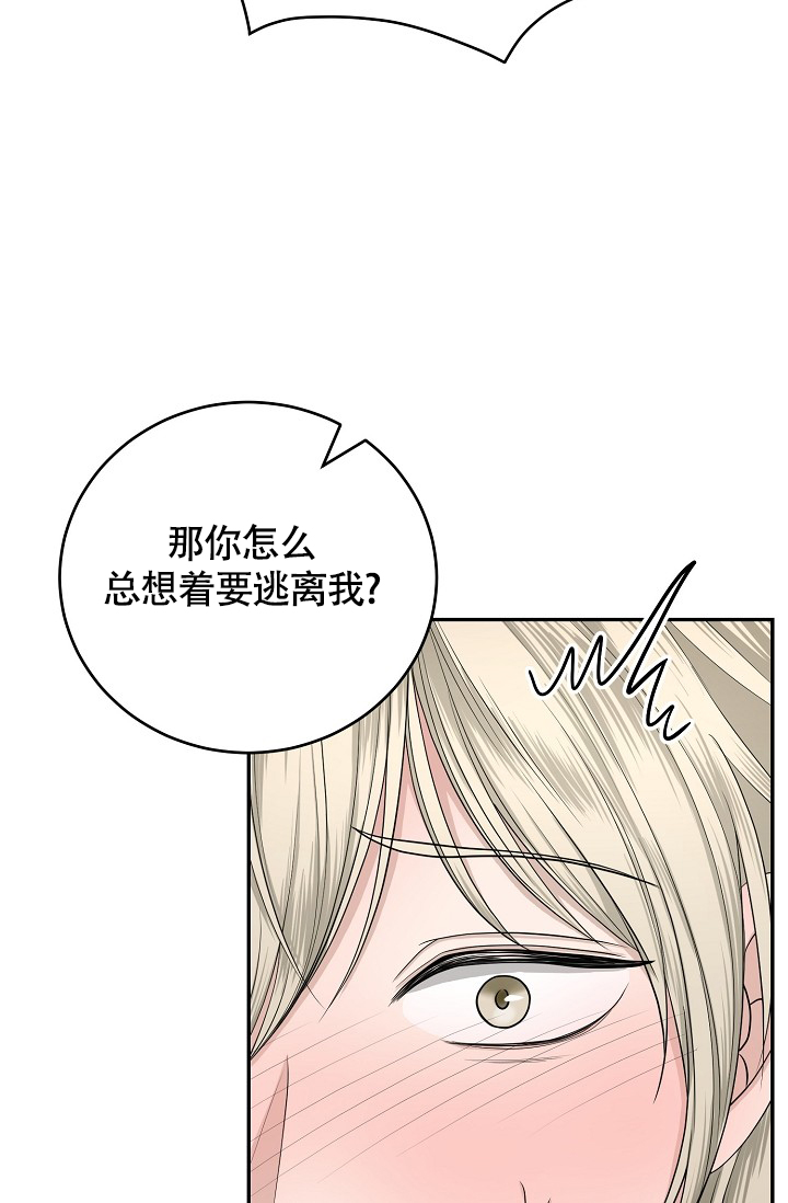 《金丝雀》漫画最新章节第2话免费下拉式在线观看章节第【23】张图片