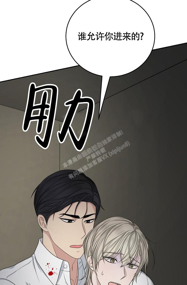 《金丝雀》漫画最新章节第10话免费下拉式在线观看章节第【36】张图片