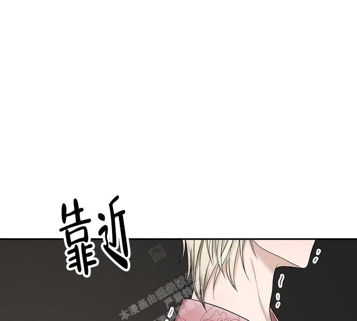 《金丝雀》漫画最新章节第11话免费下拉式在线观看章节第【6】张图片