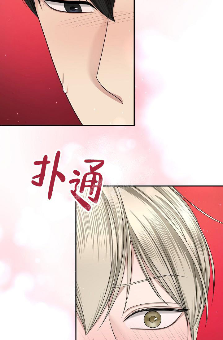 《金丝雀》漫画最新章节第15话免费下拉式在线观看章节第【36】张图片