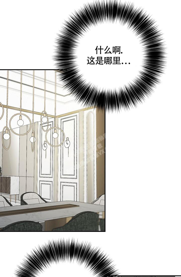 《金丝雀》漫画最新章节第9话免费下拉式在线观看章节第【31】张图片