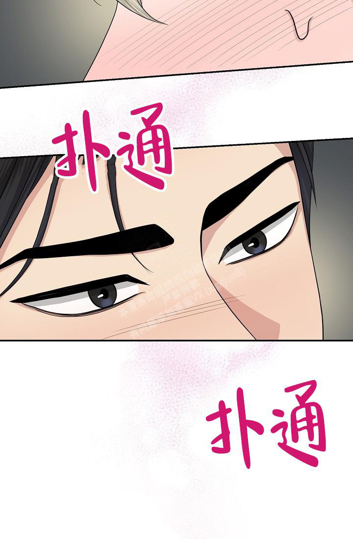 《金丝雀》漫画最新章节第13话免费下拉式在线观看章节第【36】张图片