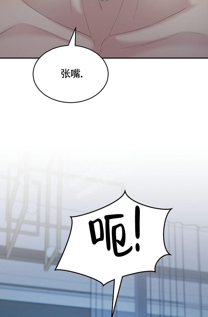 《金丝雀》漫画最新章节第5话免费下拉式在线观看章节第【5】张图片