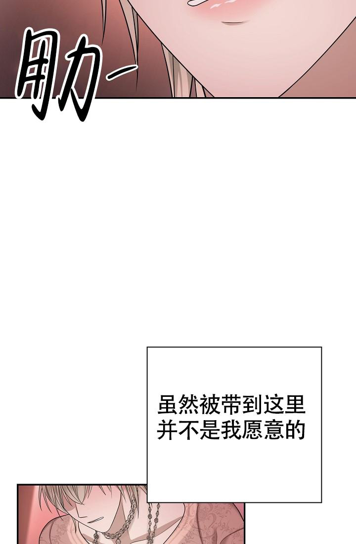 《金丝雀》漫画最新章节第18话免费下拉式在线观看章节第【40】张图片