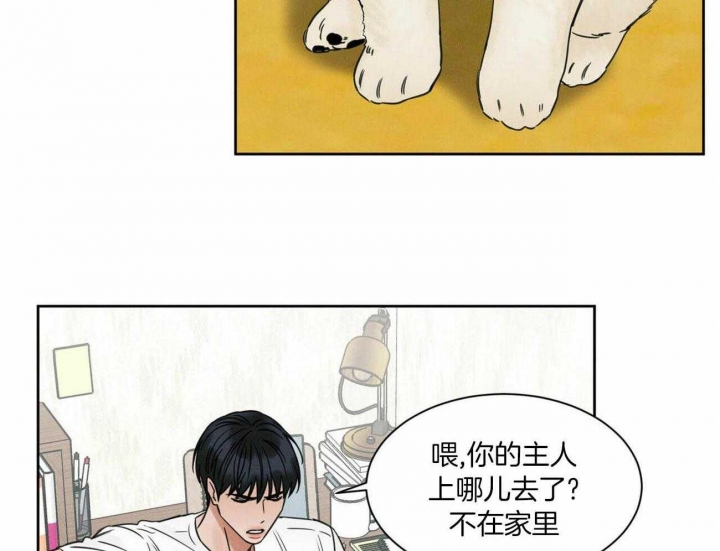 《无边囚笼 》漫画最新章节第84话免费下拉式在线观看章节第【4】张图片