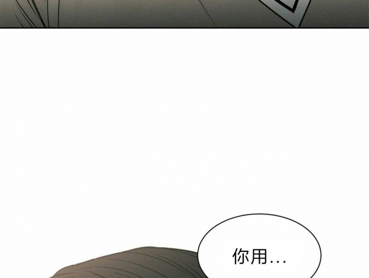 《无边囚笼 》漫画最新章节第73话免费下拉式在线观看章节第【43】张图片