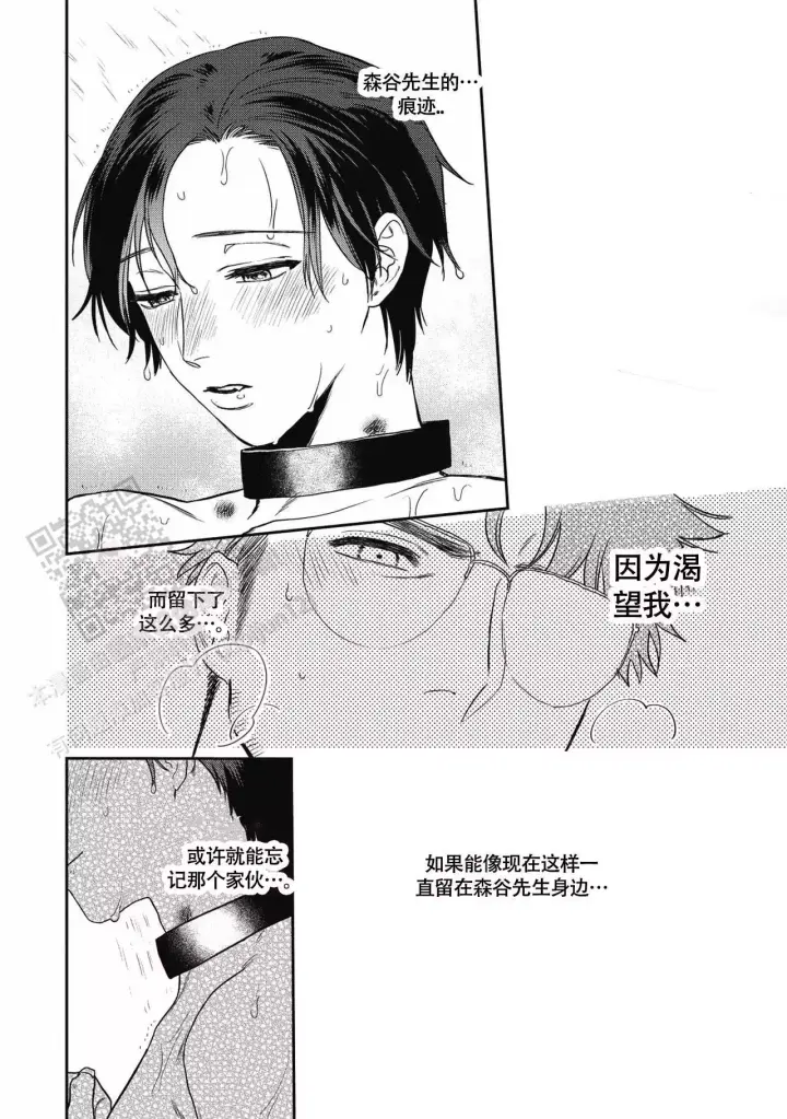 《亲吻项圈》漫画最新章节第9话免费下拉式在线观看章节第【13】张图片