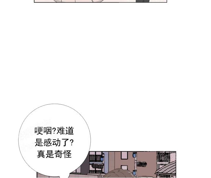 《爱情与激情》漫画最新章节第26话免费下拉式在线观看章节第【4】张图片