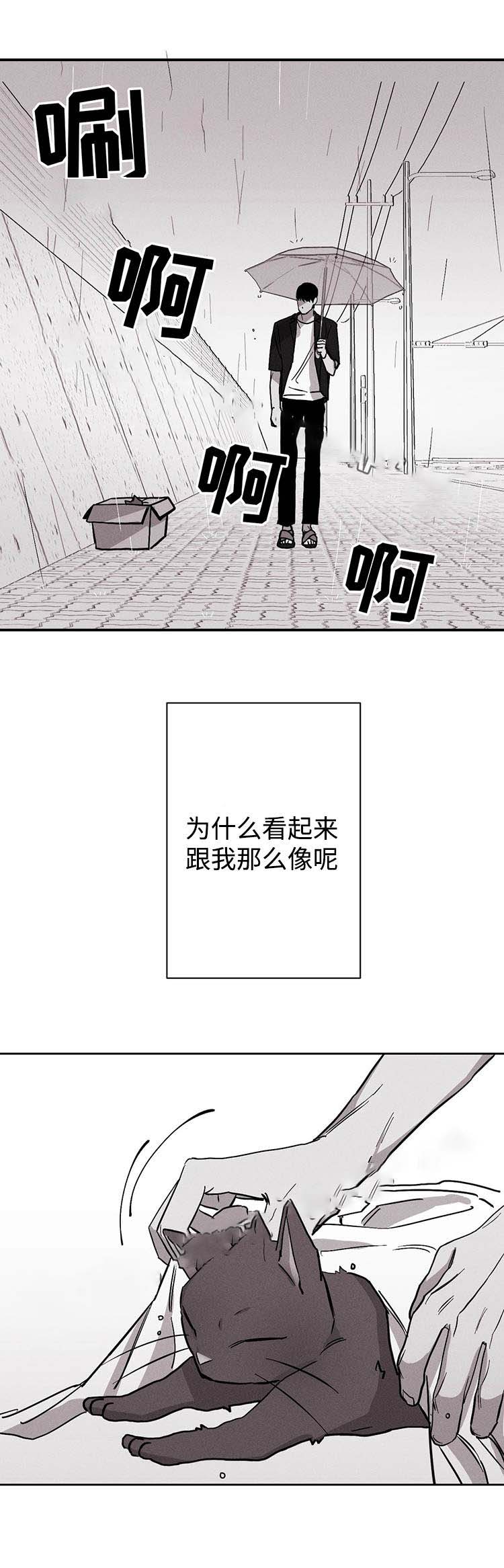 《重逢》漫画最新章节第19话免费下拉式在线观看章节第【21】张图片