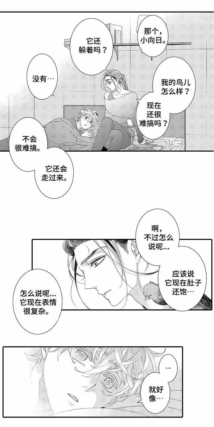 《逃脱牢笼的鸟》漫画最新章节第19话免费下拉式在线观看章节第【29】张图片