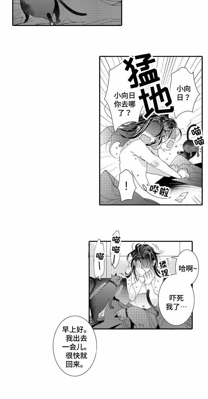 《逃脱牢笼的鸟》漫画最新章节第19话免费下拉式在线观看章节第【33】张图片