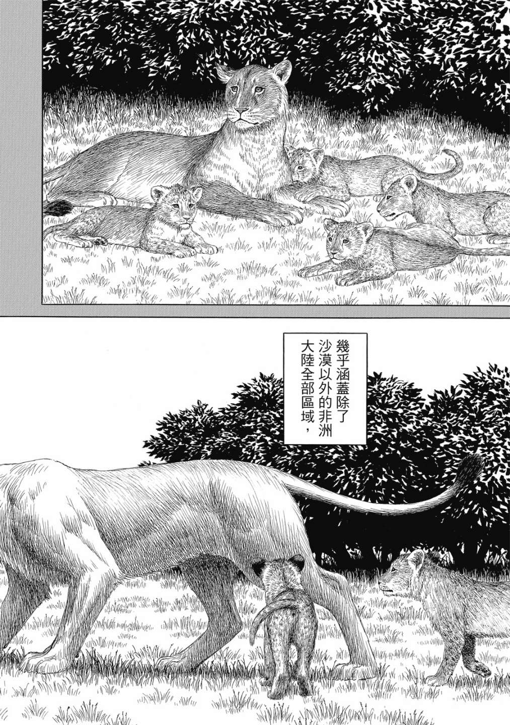 《历史之眼》漫画最新章节第11卷免费下拉式在线观看章节第【92】张图片