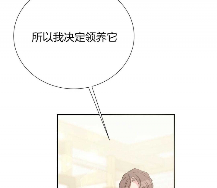 《脱单大作战 》漫画最新章节第45话免费下拉式在线观看章节第【48】张图片