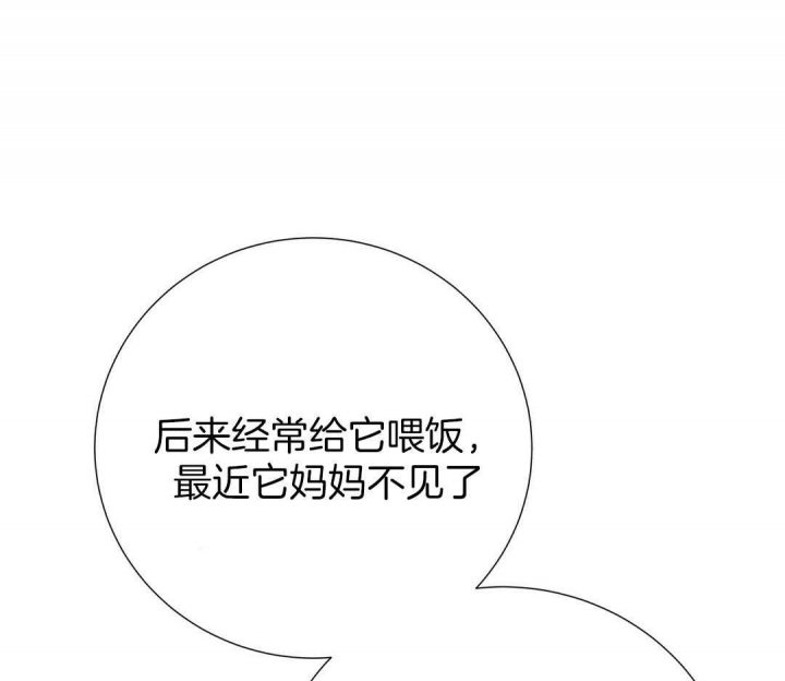 《脱单大作战 》漫画最新章节第45话免费下拉式在线观看章节第【41】张图片