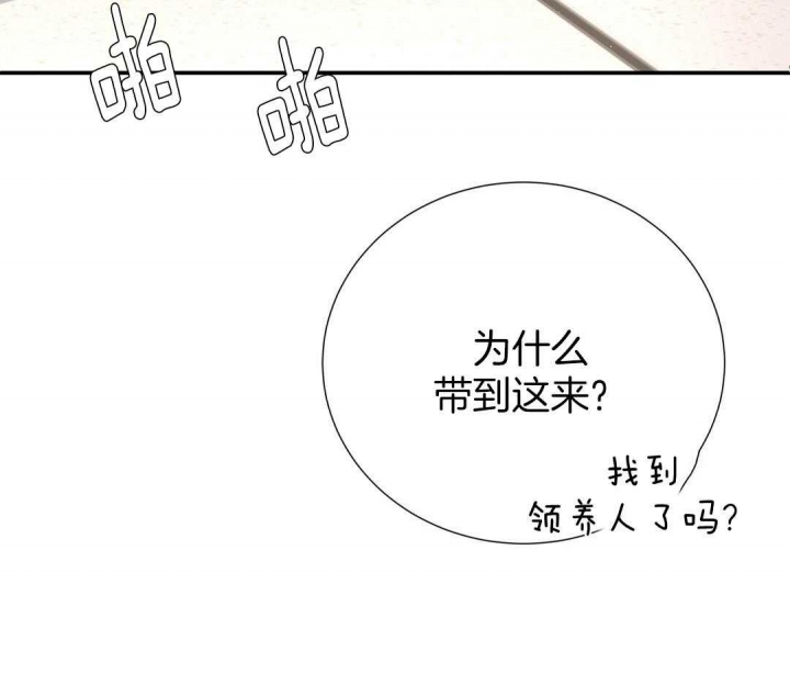 《脱单大作战 》漫画最新章节第45话免费下拉式在线观看章节第【44】张图片