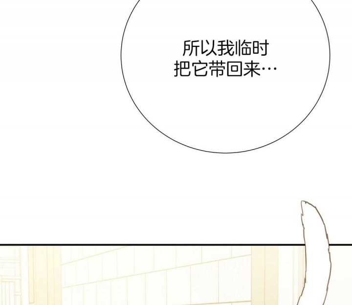 《脱单大作战 》漫画最新章节第45话免费下拉式在线观看章节第【42】张图片