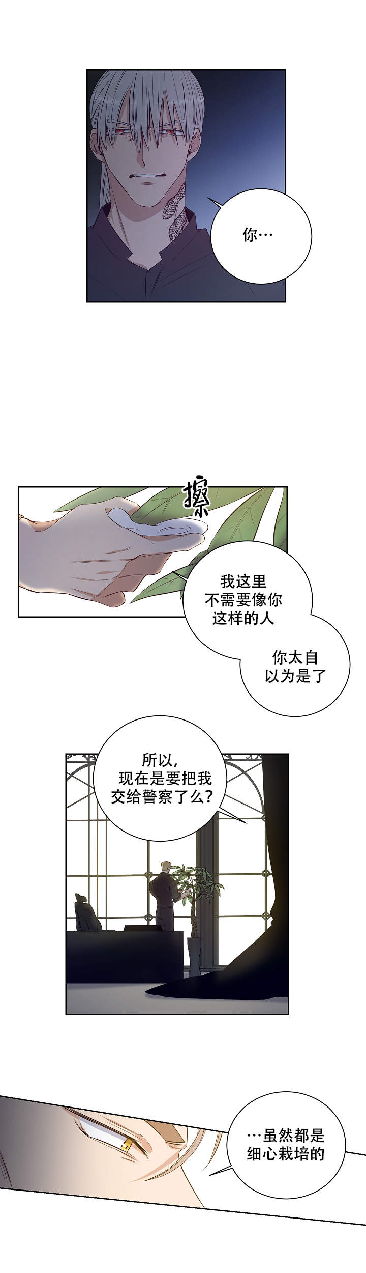 《陷阱城市》漫画最新章节第50话免费下拉式在线观看章节第【2】张图片