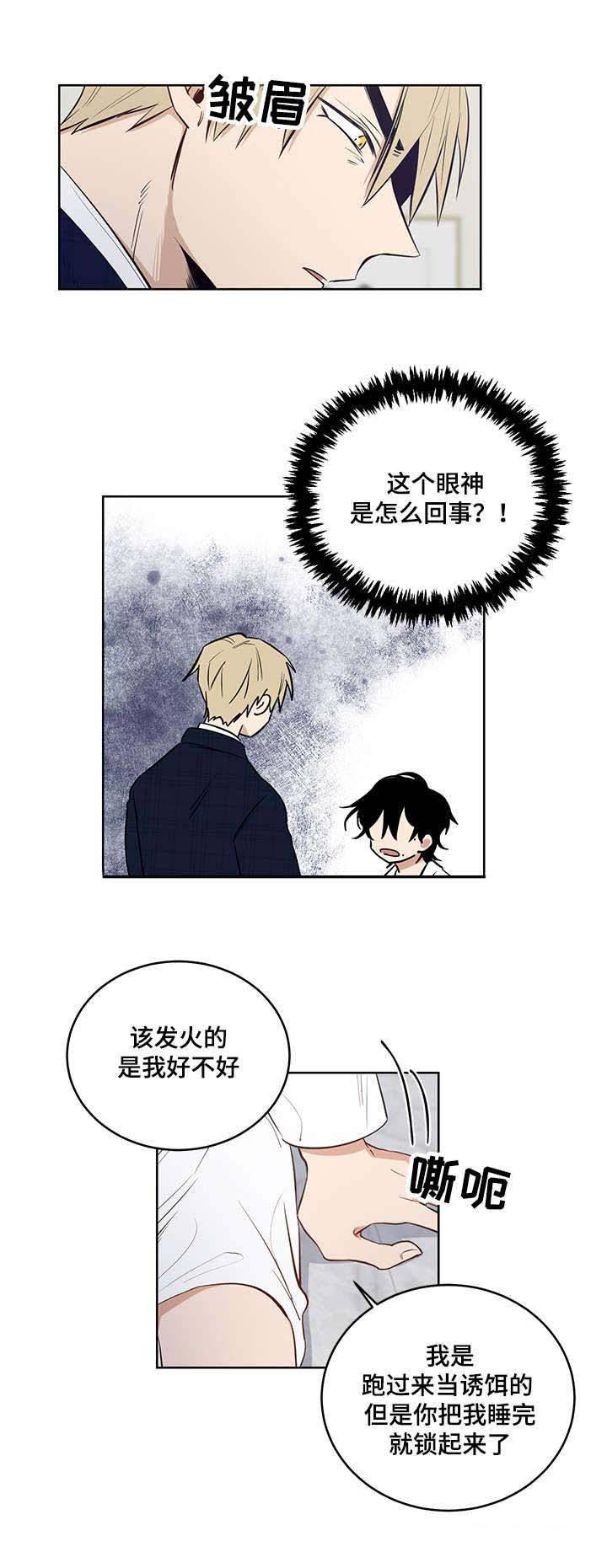 《陷阱城市》漫画最新章节第11话免费下拉式在线观看章节第【11】张图片