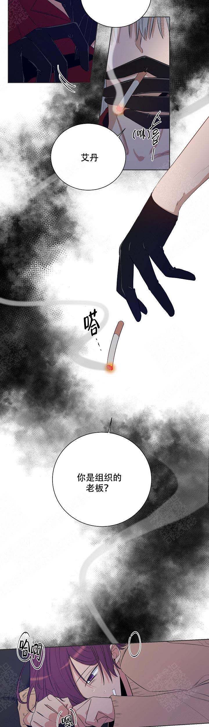 《陷阱城市》漫画最新章节第40话免费下拉式在线观看章节第【2】张图片