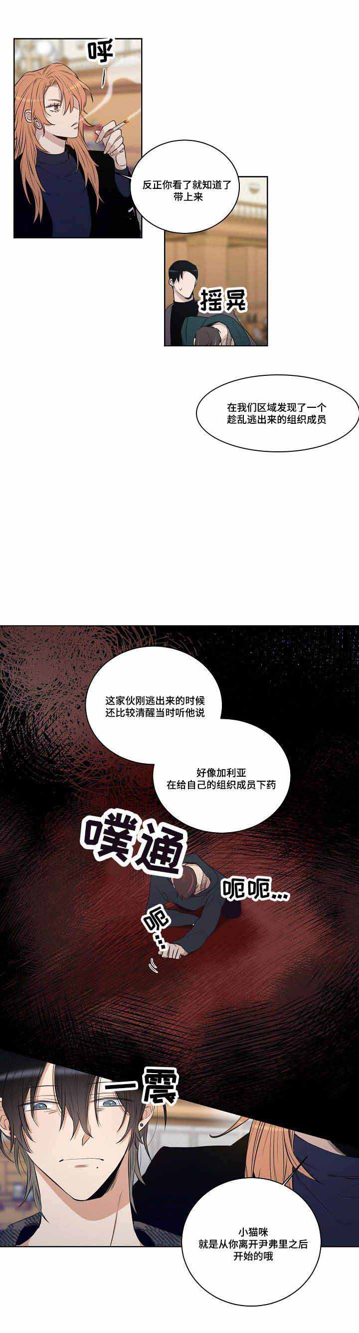 《陷阱城市》漫画最新章节第29话免费下拉式在线观看章节第【10】张图片