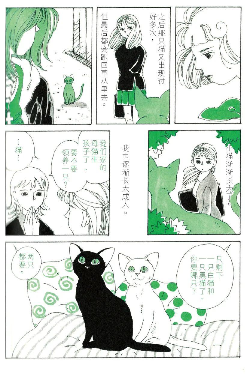 《绿色的猫》漫画最新章节第1话免费下拉式在线观看章节第【4】张图片