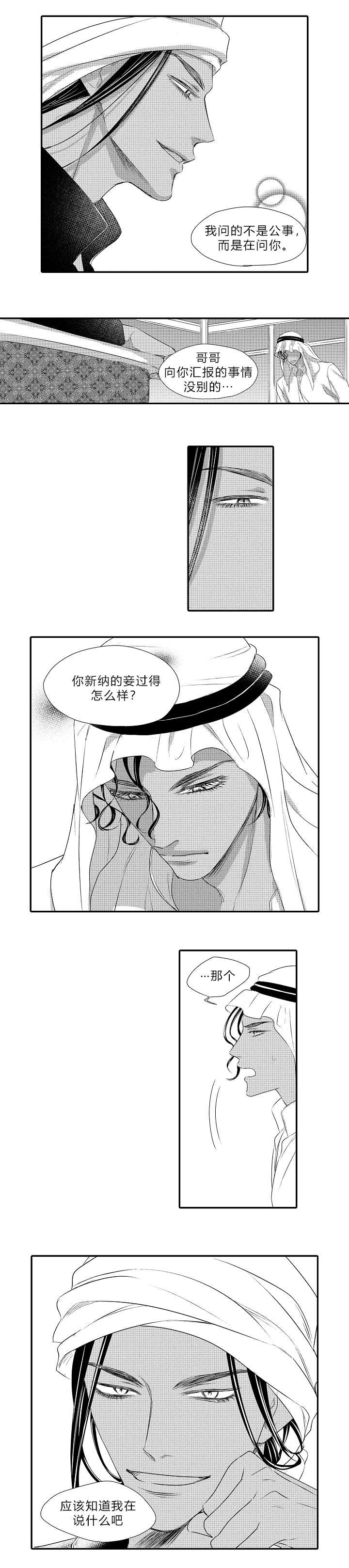 《王子的困境》漫画最新章节第19话免费下拉式在线观看章节第【3】张图片