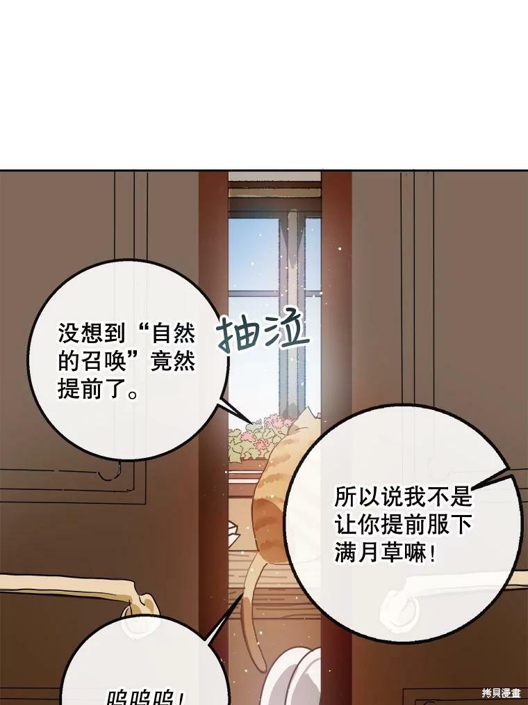 《被嫌弃的私生女》漫画最新章节第6话免费下拉式在线观看章节第【19】张图片