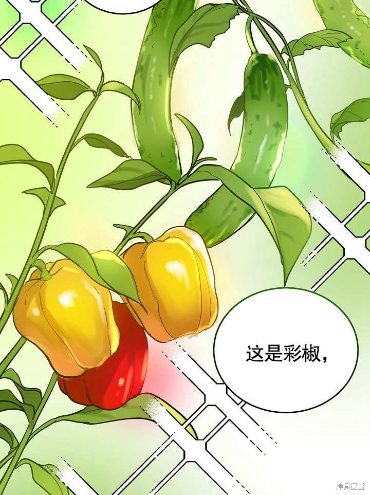 《会做料理的魔法师》漫画最新章节第11话免费下拉式在线观看章节第【41】张图片