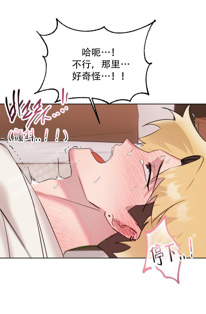 《危险条约》漫画最新章节第18话免费下拉式在线观看章节第【17】张图片