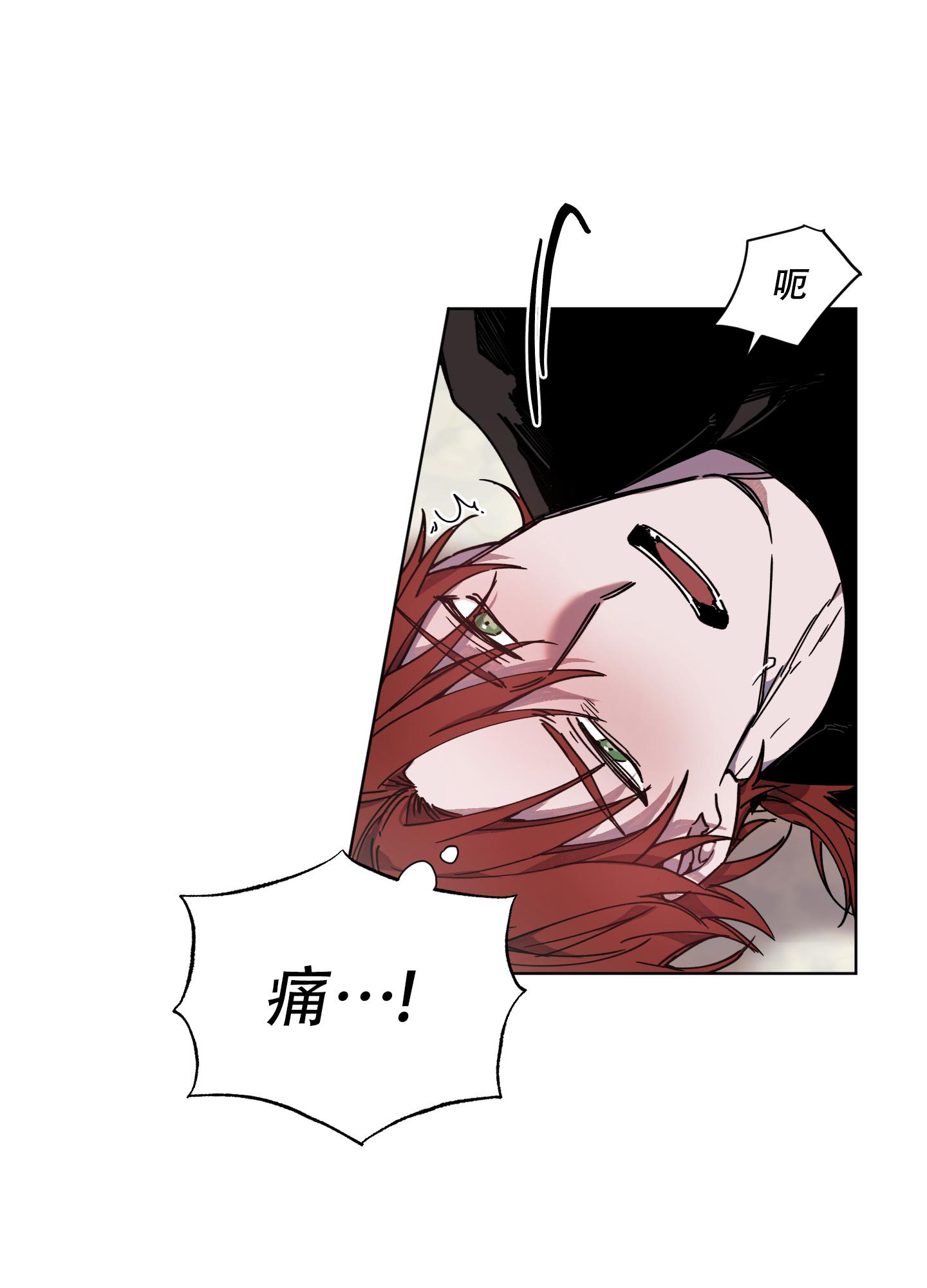 《伯爵爱上我》漫画最新章节第5话免费下拉式在线观看章节第【13】张图片