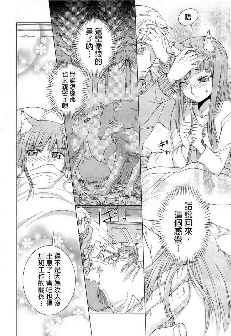 《狼与香辛料》漫画最新章节第6卷免费下拉式在线观看章节第【180】张图片