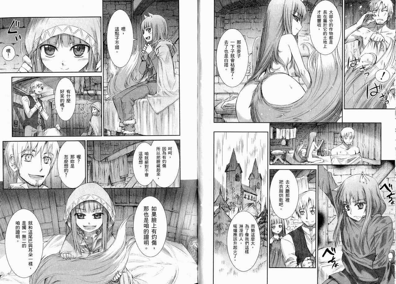 《狼与香辛料》漫画最新章节第1卷免费下拉式在线观看章节第【47】张图片