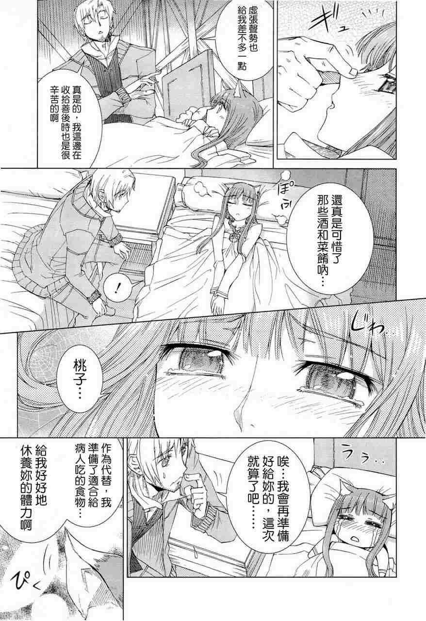 《狼与香辛料》漫画最新章节第6卷免费下拉式在线观看章节第【181】张图片