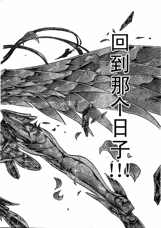 《圣斗士星矢冥王神话》漫画最新章节第218话免费下拉式在线观看章节第【10】张图片