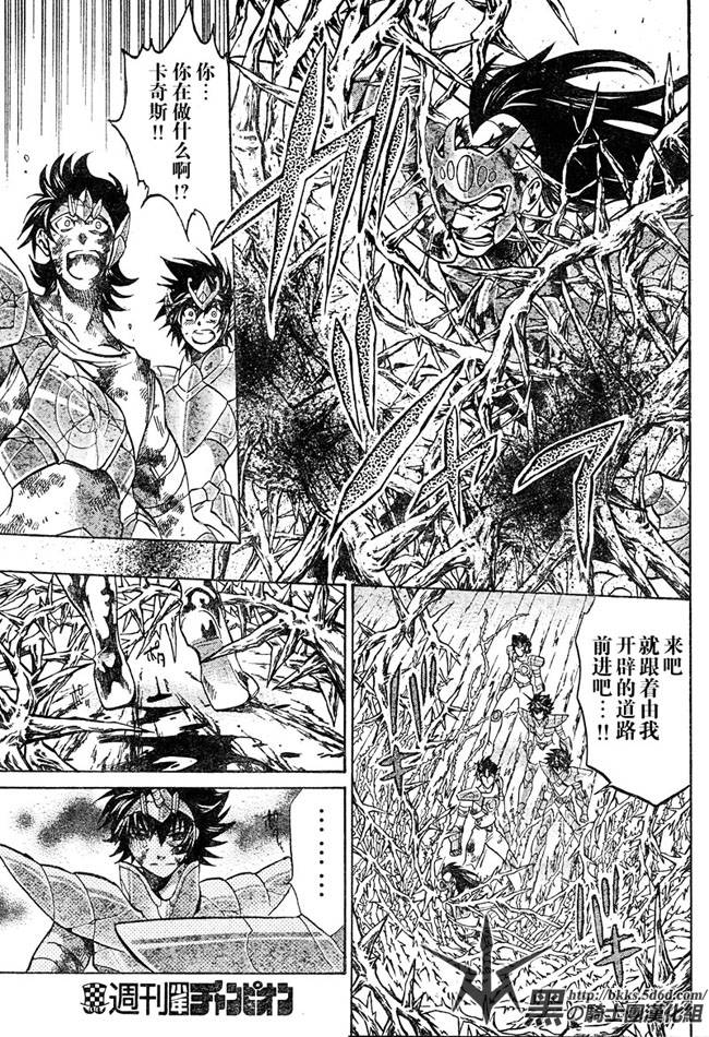 《圣斗士星矢冥王神话》漫画最新章节第124话免费下拉式在线观看章节第【12】张图片