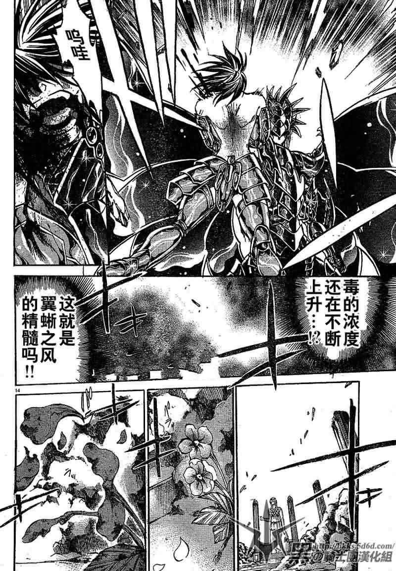 《圣斗士星矢冥王神话》漫画最新章节第149话免费下拉式在线观看章节第【14】张图片