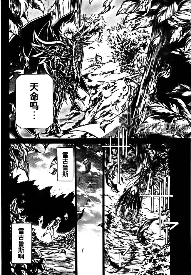 《圣斗士星矢冥王神话》漫画最新章节第197话免费下拉式在线观看章节第【14】张图片