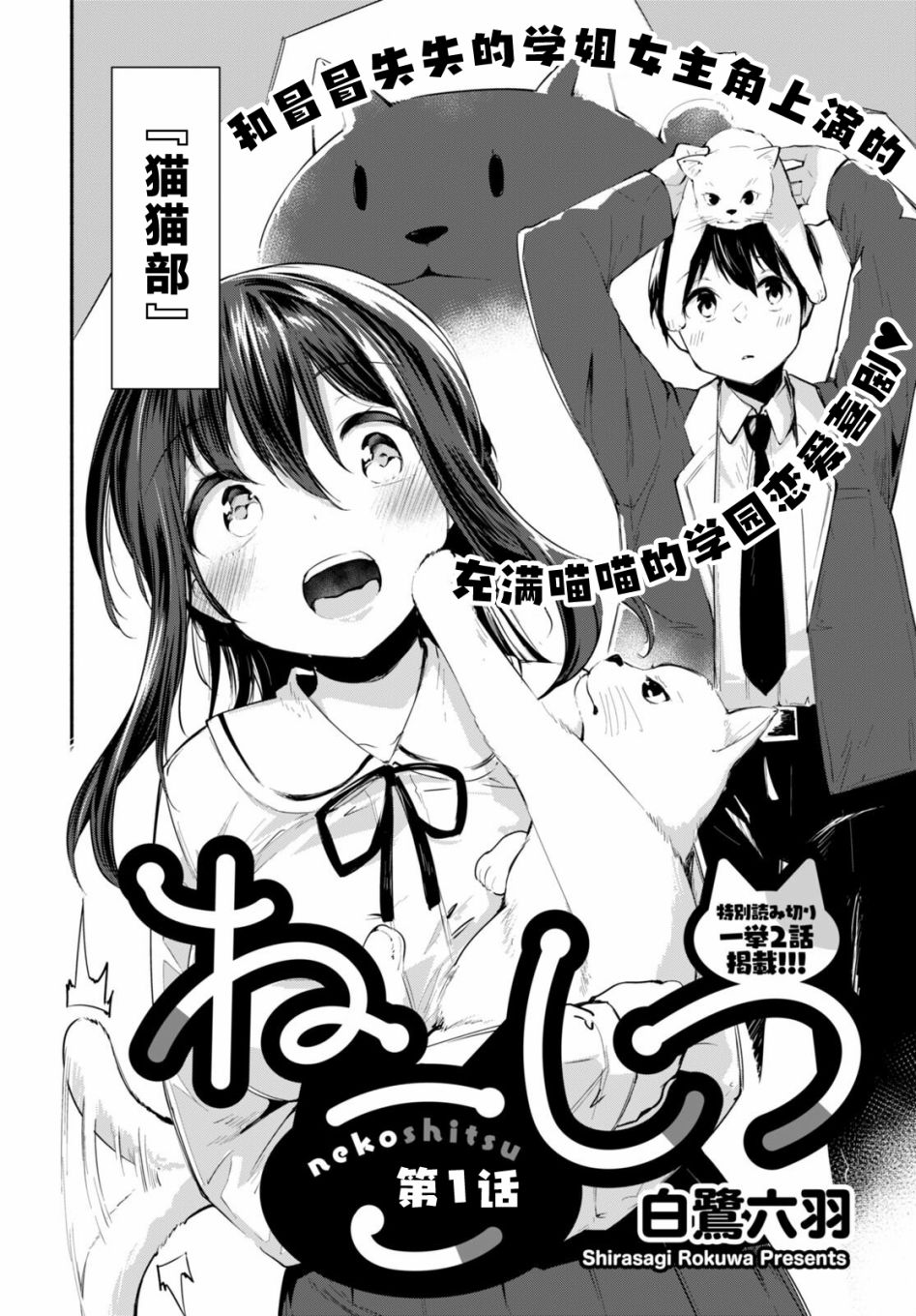 《猫猫部教室》漫画最新章节第1话免费下拉式在线观看章节第【2】张图片