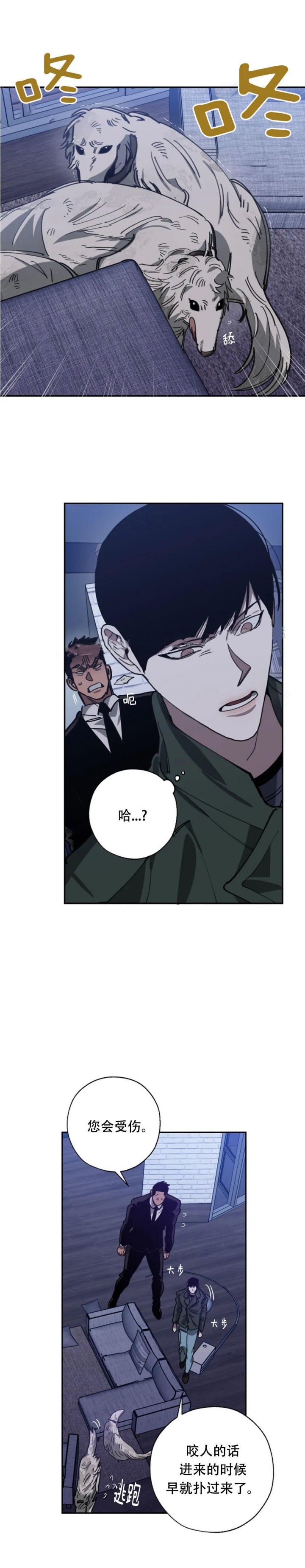 《替身》漫画最新章节第105话免费下拉式在线观看章节第【15】张图片