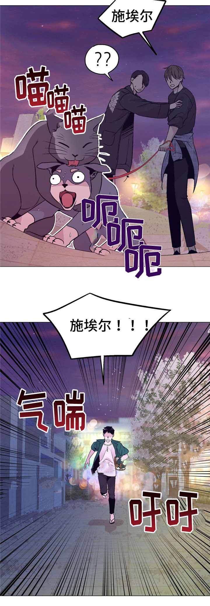 《最终挑选》漫画最新章节第53话免费下拉式在线观看章节第【15】张图片